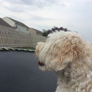 Meet your Posher, Leah